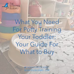 What You Need For Potty Training Your Toddler: Your Guide For What to Buy